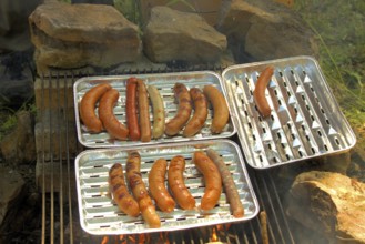 Grilled sausages lie on an aluminium grill tray over a campfire