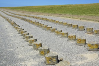 Impressions of the North Sea coast