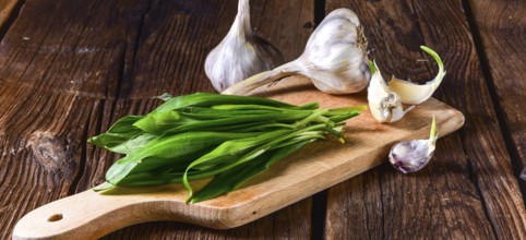 Fresh and tasty wild garlic