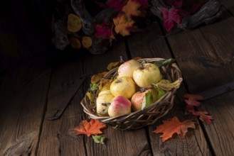 Frische und leckere bio-äpfel in einem korb