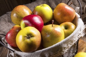 Fresh autumn apples in the basket