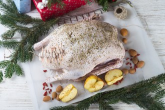 Goose before roasting