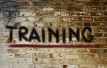 Training Concept