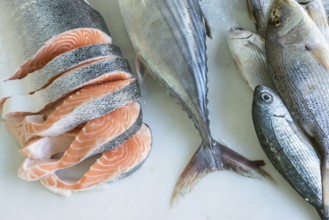 Salmon on ice in store
