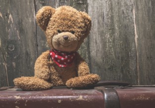 Vintage teddy Bear on wood