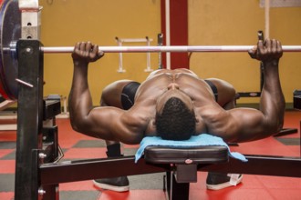 Hunky muscular black bodybuilder working out in gym, exercising pecs on bench with barbell