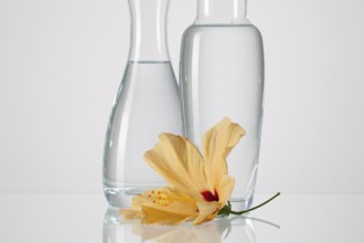 Two vases with clean water and hibiskus flower on a glass table