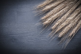 Wheat ears on vintage wood board