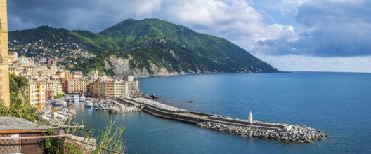 The colorful houses of the marine village of Camogli on the italian Riviera near Portofino