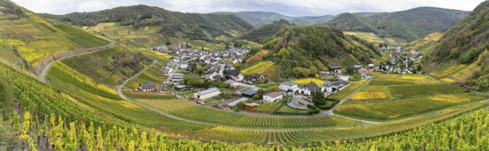 On the red wine hiking trail in the Ahrtal in Rhineland-Palatinate, Germany. A tourist attraction,