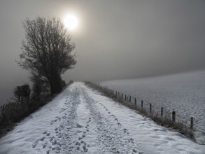 Sun peaking through mist on a snow covered footpath (on disused railway) in the Scottish Borders