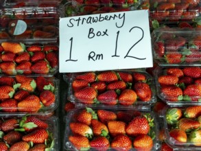 Strawberries, freshly harvested, Kea Farm Market, Cameron Highlands, Malaysia, South East Asia,