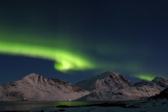 Northern Lights (Aurora borealis), Aurora Borealis, Lofoten, Norway, Europe