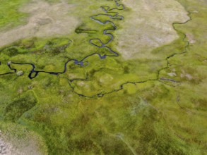 Aerial view of green land and small curve river in Aspen Springs, Mono County California, USA,