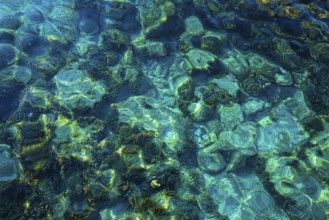 Ibiza Portinatx Arenal Gran beach in Balearic Islands clear water detail