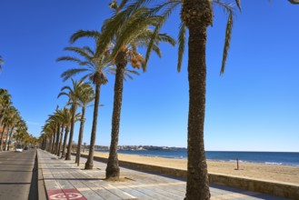 Salou beach Ponent Poniente platja in Tarragona of Catalonia