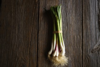 Green garlic bunch on a wooden background texture