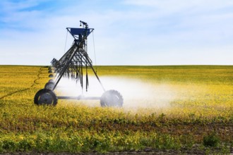 Fine water mist is seen coming from a portable pivot irrigation system on wheels, crop cultivation