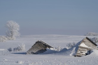 Prairie Winter Scenes rural Saskatchewan Canada Frost