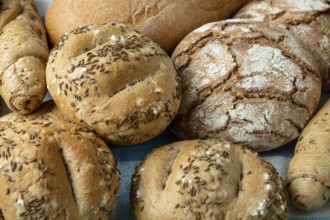 Heap of various bread rolls sprinkled with salt, caraway and sesame. Fresh rustic bread from