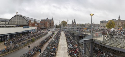 A picture of the massive bicycle parking near the Central Station of Amsterdam