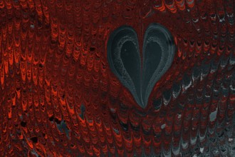Ebru marble conch effect surface pattern design for print