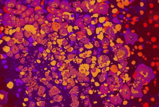 Abstract creative marbling pattern for fabric, design background texture