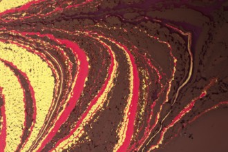 Abstract colored background. Marbling of aqueous surface design