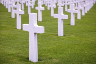 Crosses for fallen soldiers at Luxembourg American Cemetery, Hamm, Luxembourg, Europe