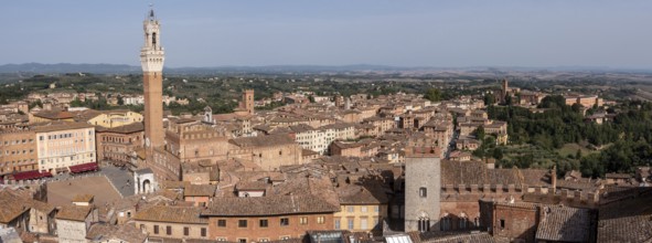 Panoramic view over downtown Siena and the Palazzo Pubblico, seen from the Facciatone panoramic