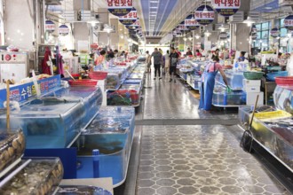 Indoor fish market in Yeosu, South Korea with living fish and people shopping, Yeosu, South Korea,