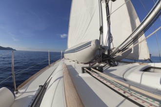 Sailboat crop during the regatta at sunset ocean