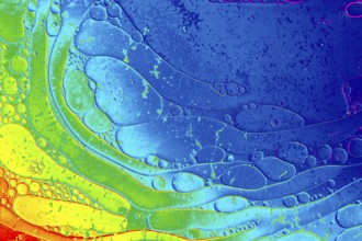 Oil bubbles inside water base form patterns
