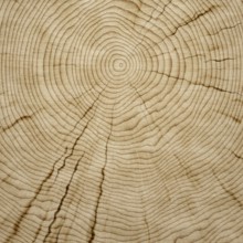 Illustration of a nice wooden background texture