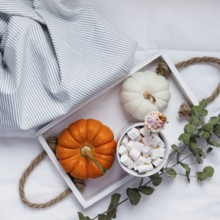Creative Top view flat lay sill life autumn composition. Hot cacao coffee chocolate with