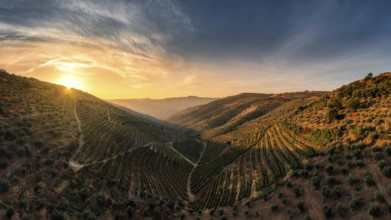 Sao Joao da Resqueira - terraced Portuguese vineyards near Nagozelo do Douro, where port wine is