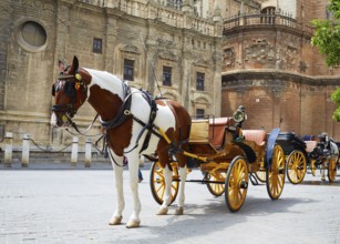 Seville horse carriages in Cathedral of Sevilla Andalusia Spain