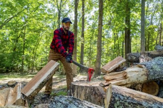A robust young man wields an axe, skillfully cutting wood on his property. He clears the land while