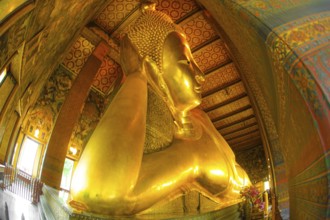 Wat Pho - Amusement Park Hotels Death of Buddha Buddha (Thailand Bangkok). Shooting Location: