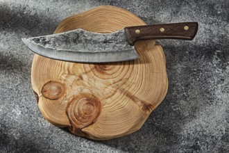 Dmascus Steel Knife For Meat