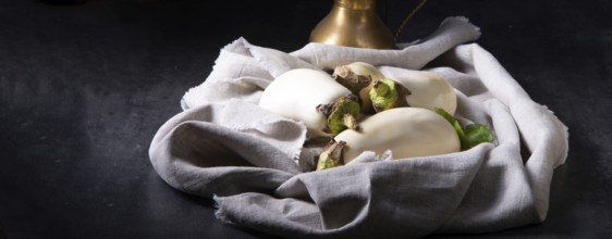 Die Auberginen (Solanum melongena) ist eine Art in der Nachtschattenfamilie (Solanaceae), die für