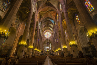 Cathedral of Mallorca, 13th century, Historical-artistic monument, Palma, mallorca, balearic
