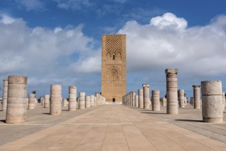 Iconic Hassan tower in the center of Rabat, planned as a even higher minaret of a mosque, Morocco,