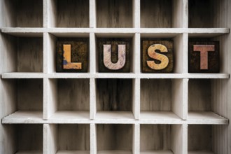 The word LUST written in vintage ink stained wooden letterpress type in a partitioned printer's