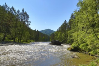 Mountain river Sema landscape in Siberia, Altai, Russia, Europe