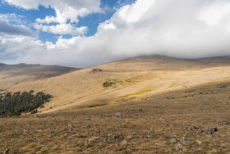 Great view up high in the mountains of Rocky Mountain NP, USA, North America