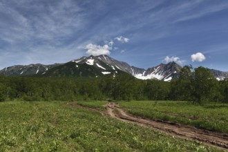 Nature of Kamchatka Peninsula: forest road in mountains on sunny day. Russia, Far East, Kamchatka