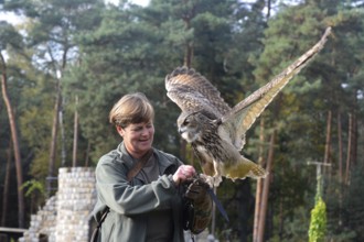Falconer Simm-Schönholz with eagle owl willi