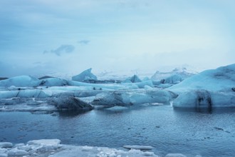 Blue icebergs floating in a frigid body of water, surrounded by snowy mountains, iceberg Iceland,