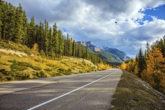 Excellent highway crosses the Rocky Mountains of Canada. Yellow, red and orange leaves adorn the